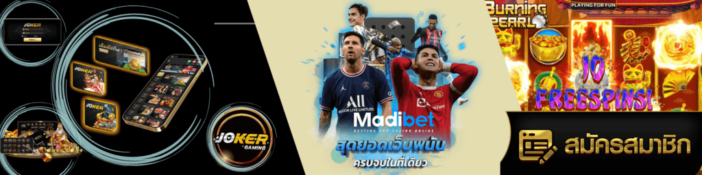 madibet เว็บตรง